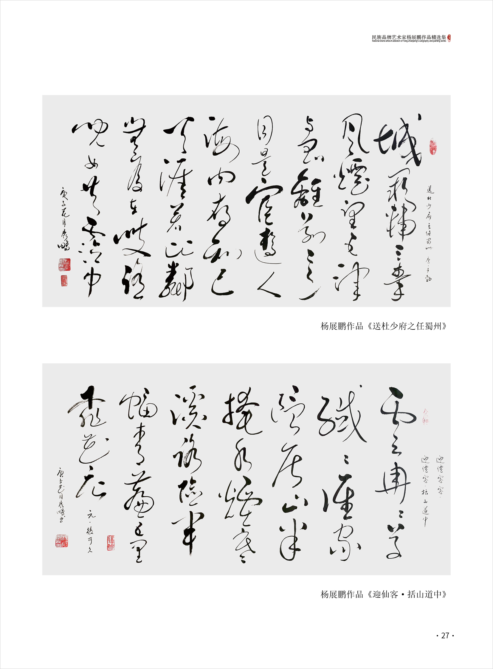 杨展鹏27.jpg