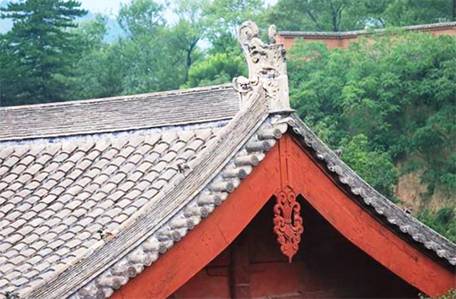 抽象悬鱼.jpg