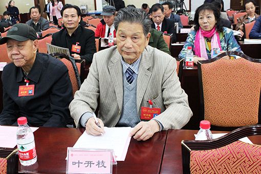 叶开枝老师在峰会现场.jpg