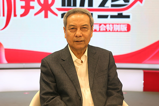 全国人大农业与农村委员会主任委员陈锡文.jpg
