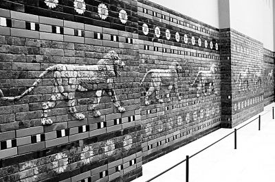 1552270161131939.jpg 行进大道 资料图片.jpg