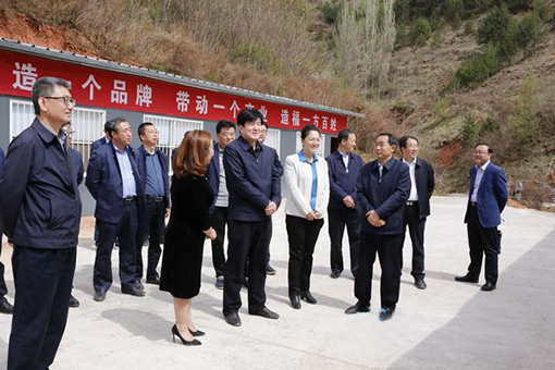 4月17日至18日，中国文联党组书记、副主席李屹带领定点帮扶工作组赴甘肃省陇南市武都区调研。这是李屹一行在甘泉镇双沟村调研宏发养殖农民专业合作社生态鸡养殖基地。.jpg
