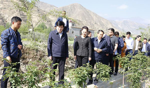 4月17日至18日，中国文联党组书记、副主席李屹带领定点帮扶工作组赴甘肃省陇南市武都区调研。这是李屹一行在角弓镇鹿坝村调研花椒育苗基地。郭青剑摄.jpg