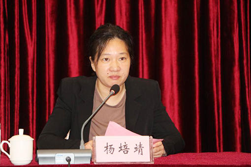 泾县县委常委、宣传部长、副县长杨培靖致辞.jpg