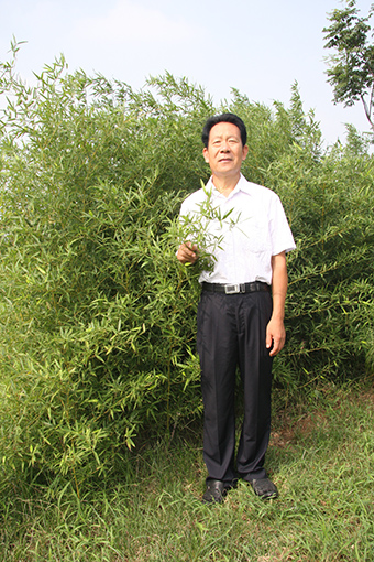 孙成效照片.JPG