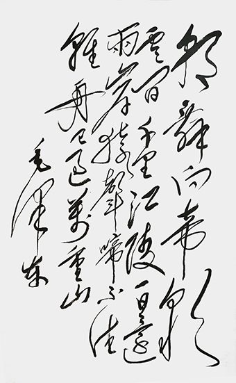 翟德泉作品9.jpg