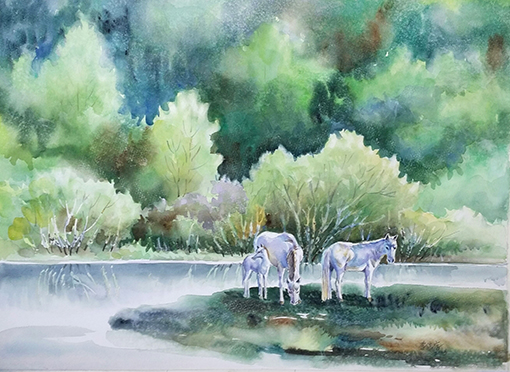 水彩画《夏日》规格：75x55cm.jpg