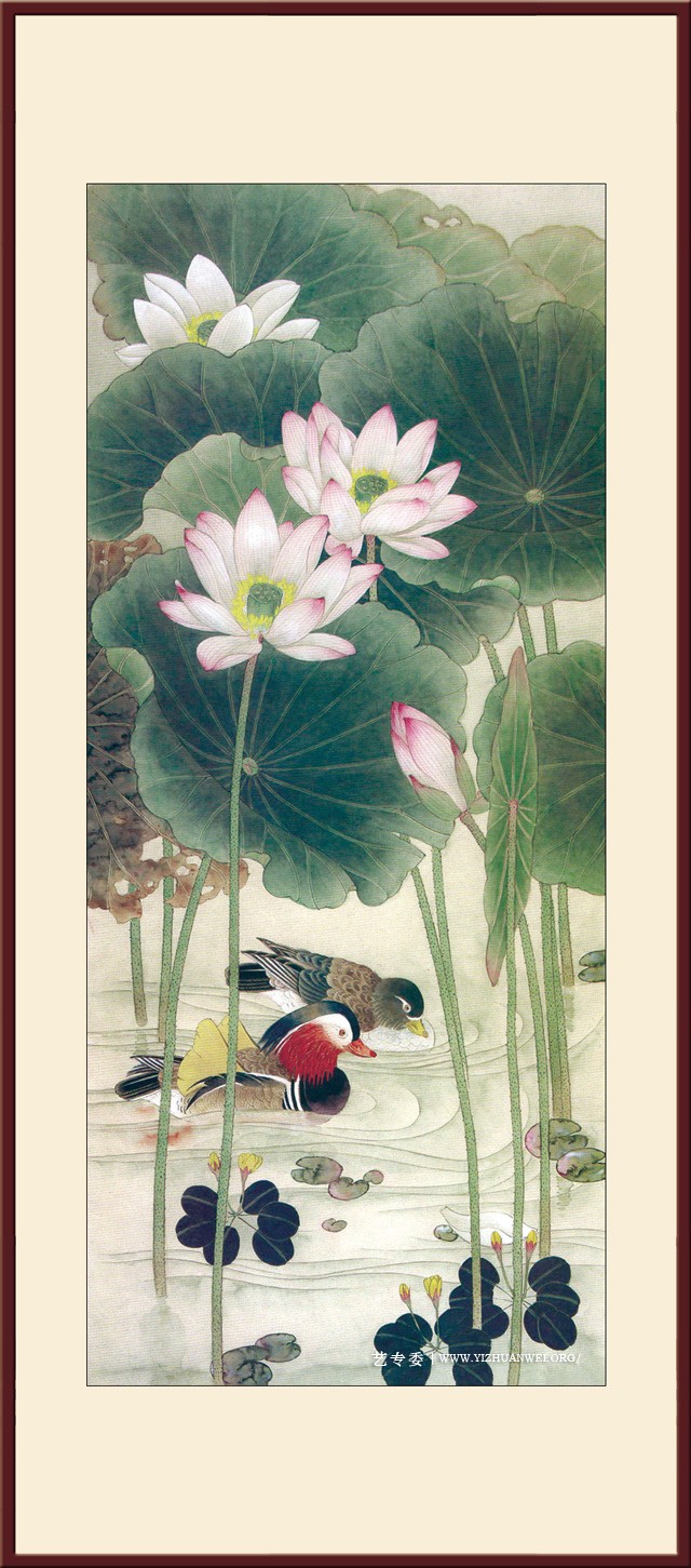荷花鸳鸯.jpg