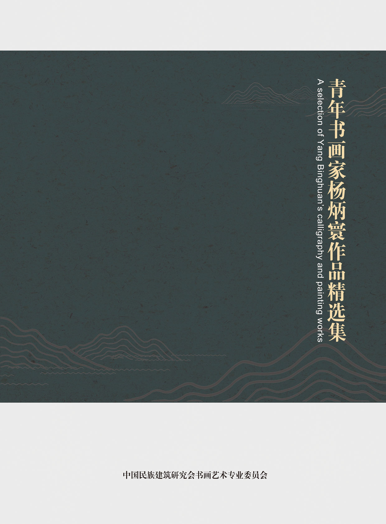 封面-杨炳寰.jpg