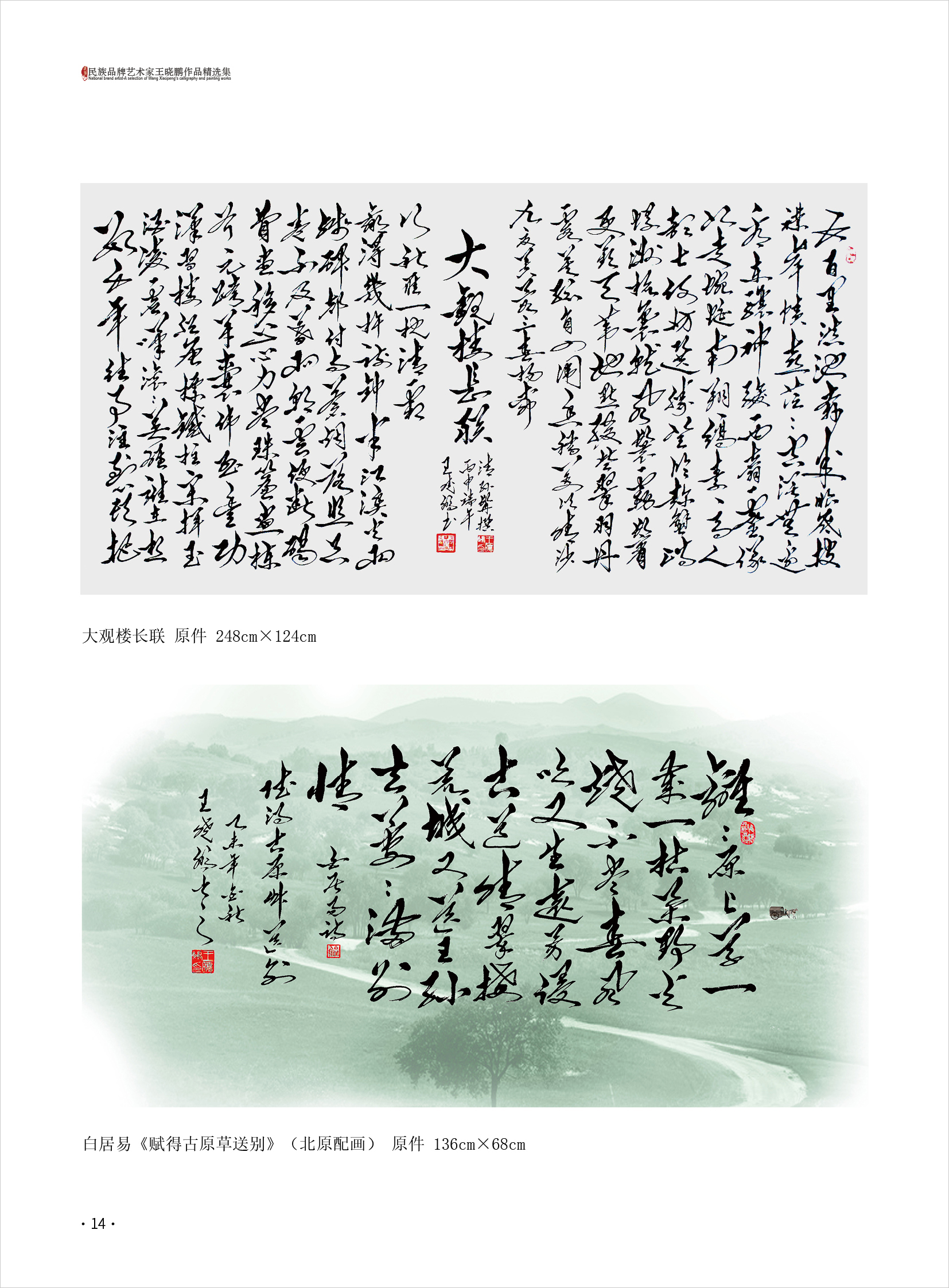 王晓鹏14.jpg