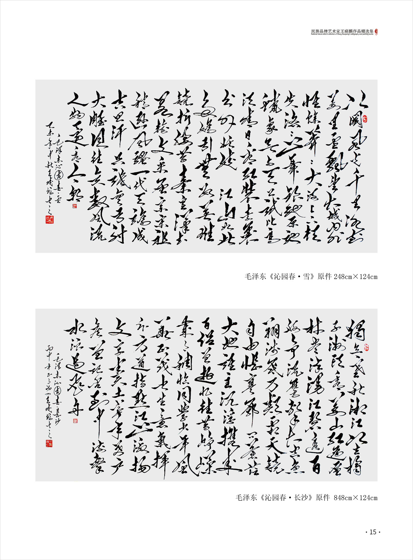 王晓鹏15.jpg