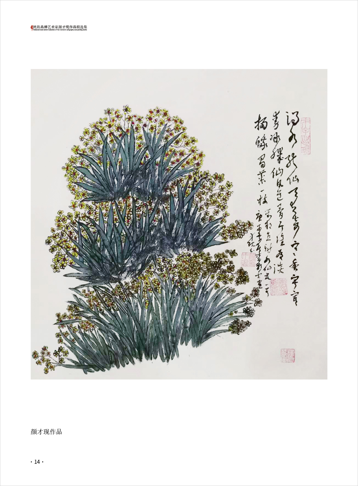 颜才现14.jpg