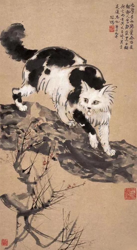 徐悲鸿 猫 84×46cm 纸本立轴 1931年