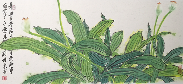 花卉-刘维东.png