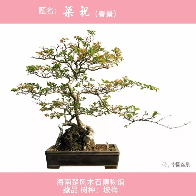 （梁 祝)(春景).jpg
