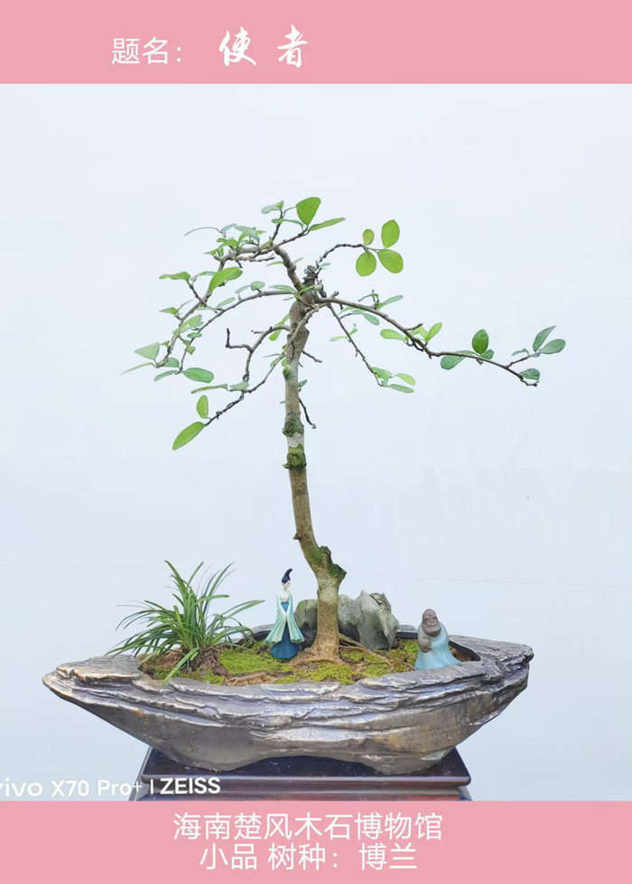 胡庆魁作品《使者》.jpg