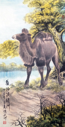 观沙漠绿洲 观沙漠绿洲