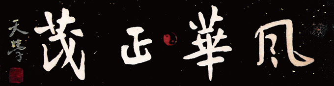 《风华正茂》