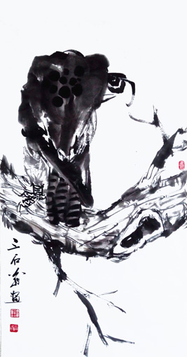 舒先惠作品-猛禽