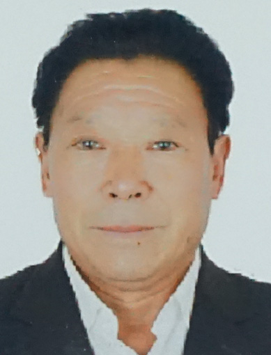 张依杰精品赏析