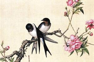 郎世宁《双燕桃花图》